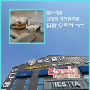 헤스티아 플렉스 이미지