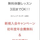 오테니스 스쿨 네이버블로그