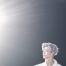 루미드림