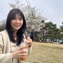 추억기록 ㅣ 2024년 돌아보기