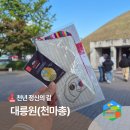 안경나라부영2차점 | 이달의 방문코스 11월 - 천년 정신의 길 경주 대릉원 스페셜 배지