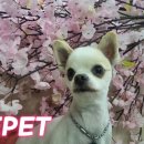 세븐일레븐 광양마동점 이미지