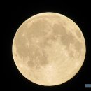 블루문(Blue Moon) 이미지