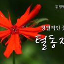 [꽃 이야기 95회 ]정열적인 꽃의 유혹 - 털동자꽃 이미지