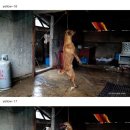 장인가 이미지