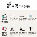 지디치과의원 네이버블로그