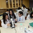 과학실험 이미지