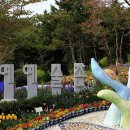 음악이 있는 힐링원예 이미지