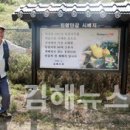 조영환농장 네이버블로그