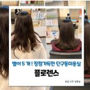 몽실헤어샵 | 원주 단구동미용실 추천 손상적고 편안한 미용실 플로렌스헤어