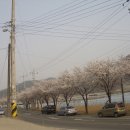 다사 달천 Daum카페