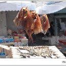 동피랑관광안내소 이미지