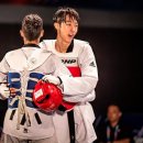 한국체대월드태권도 이미지