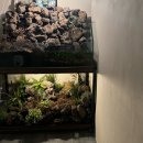 리케이온 | 부산 영도 정원이 예쁜 북카페 리케이온 내돈내산 후기(휘낭시에 맛집)