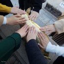 늦은 단풍 구경! 경주 불국사, 펜션 세러데이 다녀온 후기