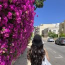 머리하는집 이미지