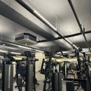 멋짐 | 명륜동헬스 추천하는 곳, 멋짐 솔직 후기 및 정보