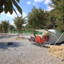 속리산알프스야영장 이미지