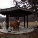 비두리슈퍼 | 비두리의 늦가을 풍경