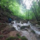 도마치로 이미지