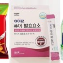 초록효소
