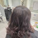 참좋은애견미용실 | 천안 불당동미용실 루틱헤어 중단발 씨에스컬(애견동반 가능 미용실)