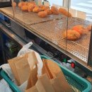 김포 찹쌀꽈배기와 수제고로케