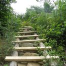 황금농장 이미지