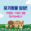 부안군건강생활지원센터 | 오창 멍쿠 사장님과 부안군 유기동물 입양 캠페인 현장 방문기