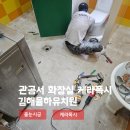 김해율하유치원 | 어린이집/유치원/관공서 화장실 케라폭시이지디자인 줄눈시공 by김해율하유치원