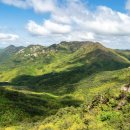 입석초교 이미지