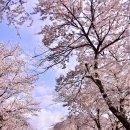 창만3리 네이버블로그