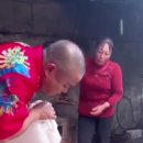 모전자전 이미지