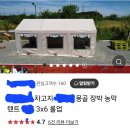 양봉.토종벌 농가님 이동양봉시 채밀작업시 창고용,농막용 텐트 이미지