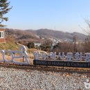 장차로 5번길 이미지