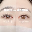 매직플라워 이미지