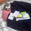 (주)플러스써지 | 0무 생각 없이 산다