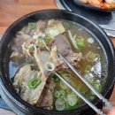 원일가마솥설렁탕 | 사계절 생각나는 설렁탕 맛집 [원일가마솥설렁탕] (내돈내산/메뉴/가격/주차)