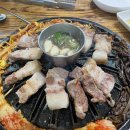 해성버섯