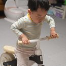 4세 밸런스바이크 실사용 후기, 남매 쌍둥이 대근육 발달을 위해 선택한 이유