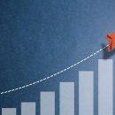 디에스엠 이미지