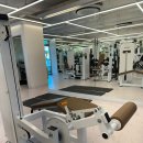 더 보스짐 이미지