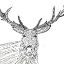 이민호농가 이미지