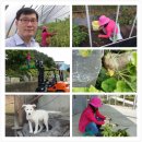 혜리농장 이미지