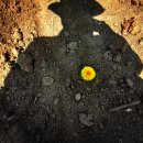 얼뚝생태건축협동조합 이미지