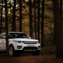 허니포트