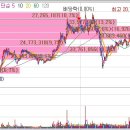 bnc 미용재료