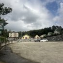 도일 | [평택/바베큐맛집] 당일치기 바베큐 글램핑하기 좋은 포레스트도일