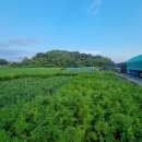 목인농장 이미지