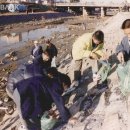 불광천변(신응교) 이미지